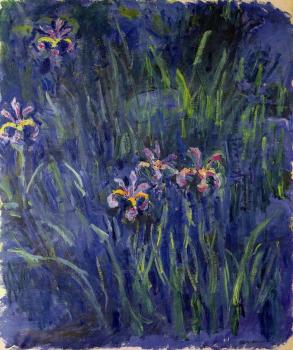 Claude Oscar Monet : Irises II